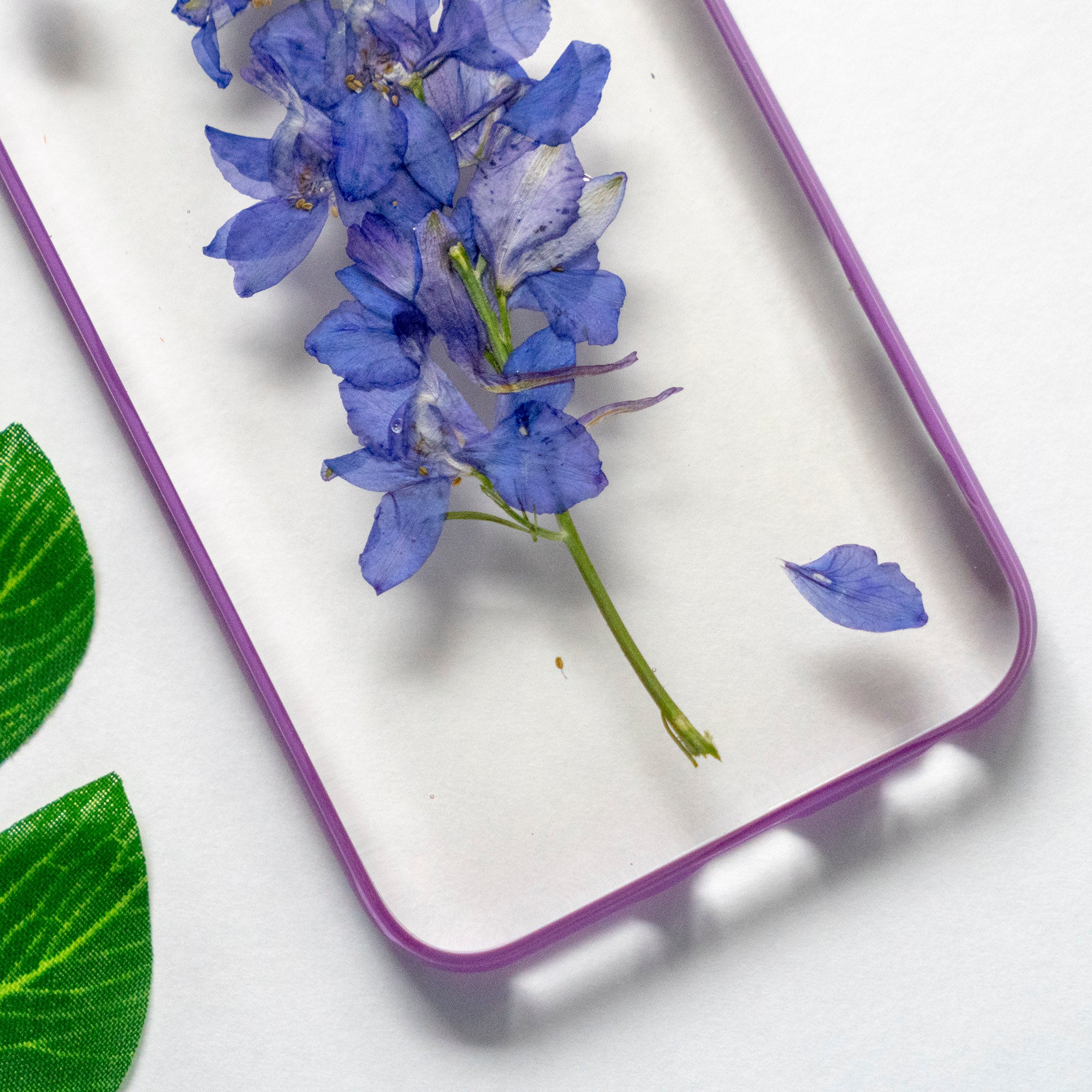 Real Pressed Purple Flower Floral iPhone 6 6s Protective Bumper Case Floral Neverland Floralfy 03