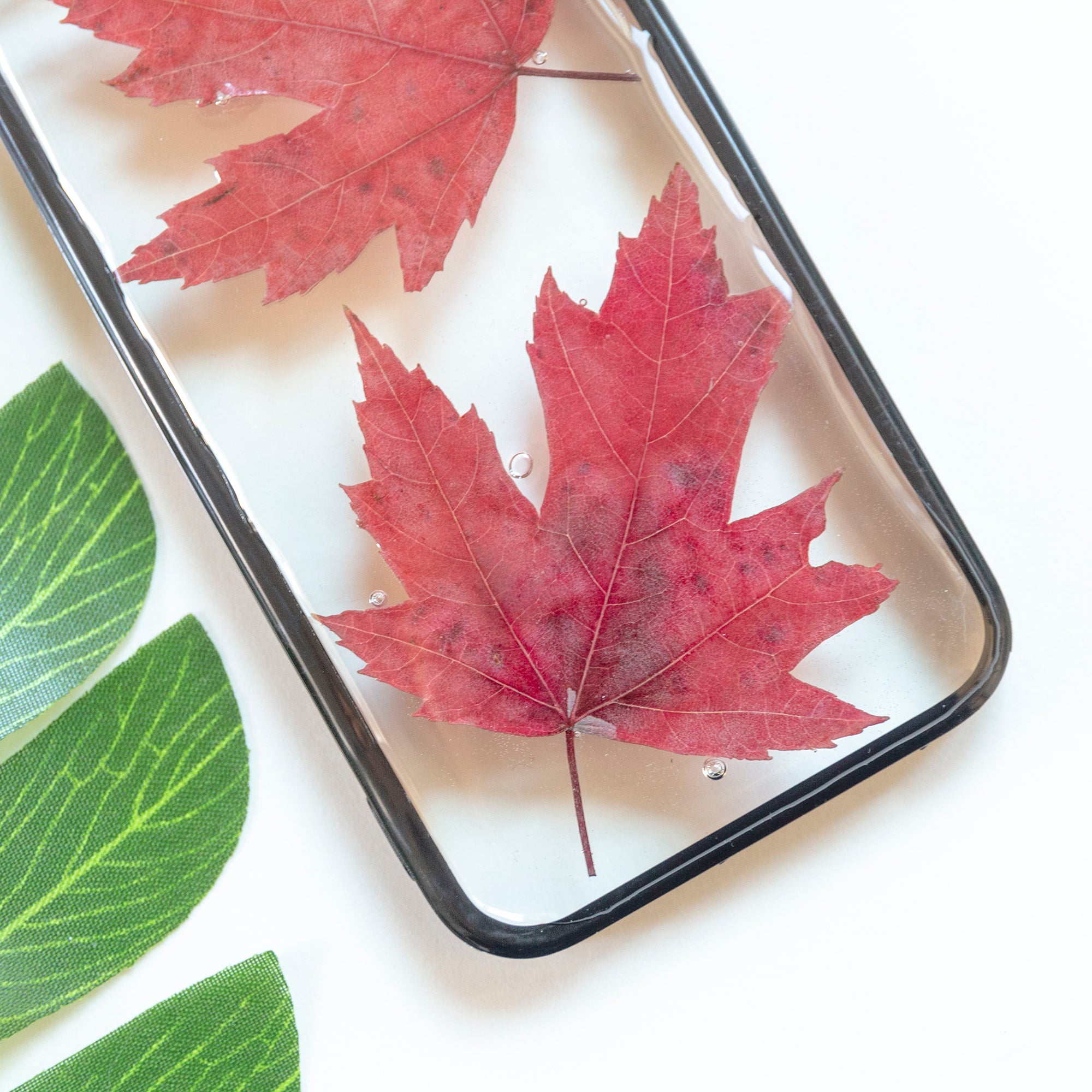 Floral Neverland Floralfy Fall Leaves Real Pressed Red Canadian Maple Leaf Flower Floral Foliage Botanical iPhone 5 5S SE Bumper Case 03