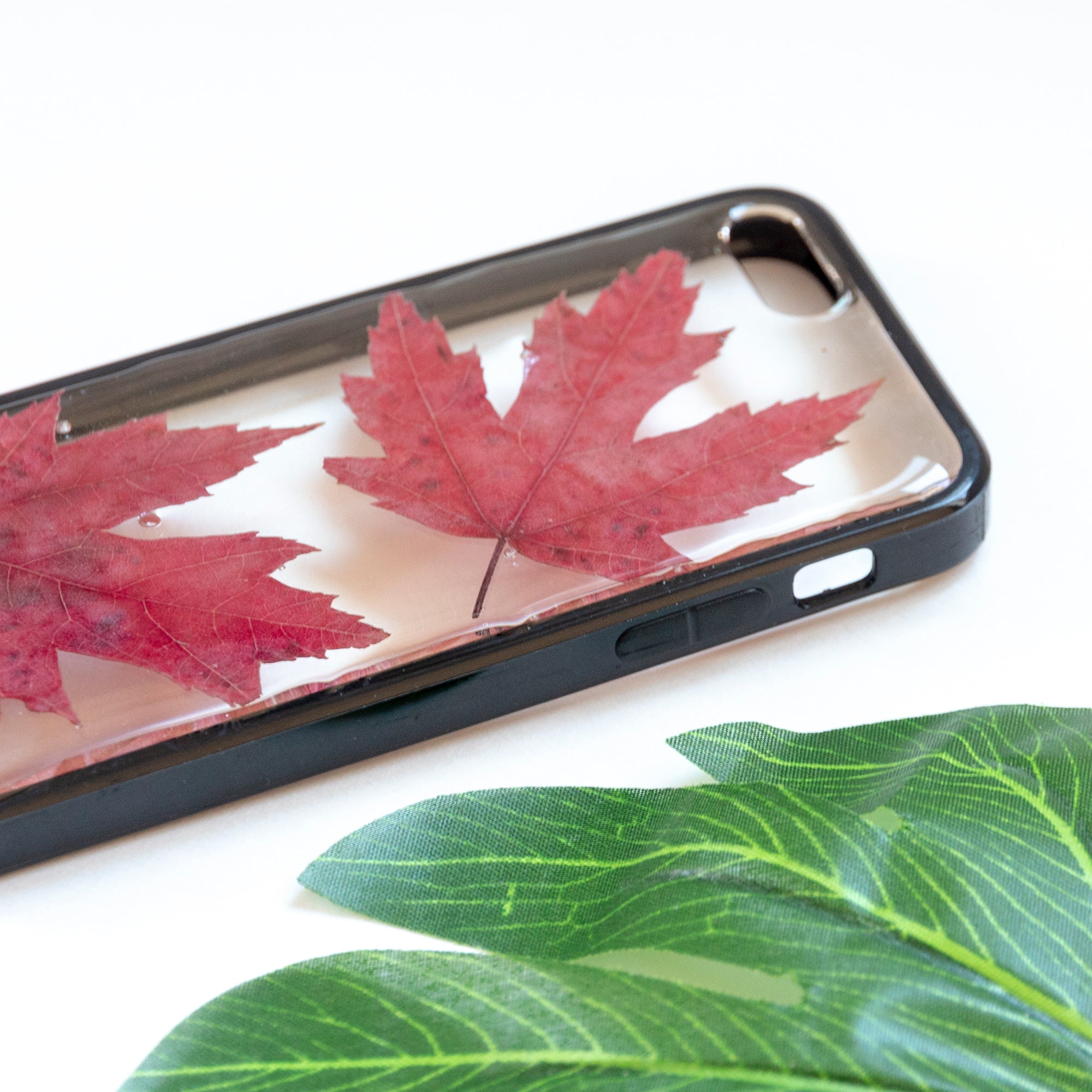 Floral Neverland Floralfy Fall Leaves Real Pressed Red Canadian Maple Leaf Flower Floral Foliage Botanical iPhone 5 5S SE Bumper Case 04