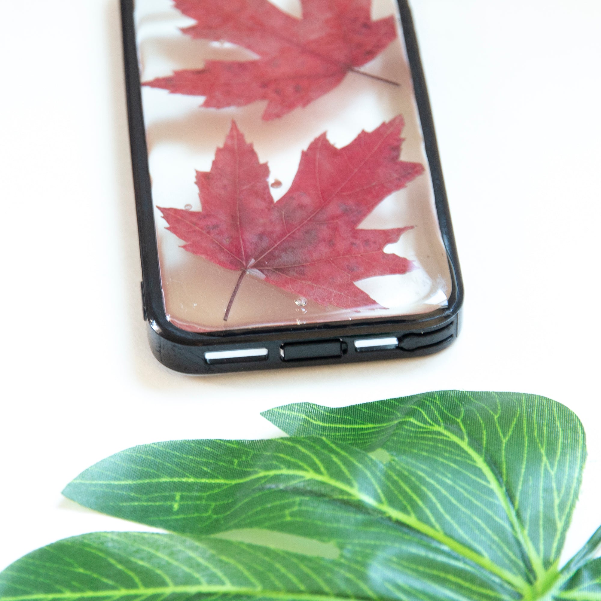 Floral Neverland Floralfy Fall Leaves Real Pressed Red Canadian Maple Leaf Flower Floral Foliage Botanical iPhone 5 5S SE Bumper Case 05